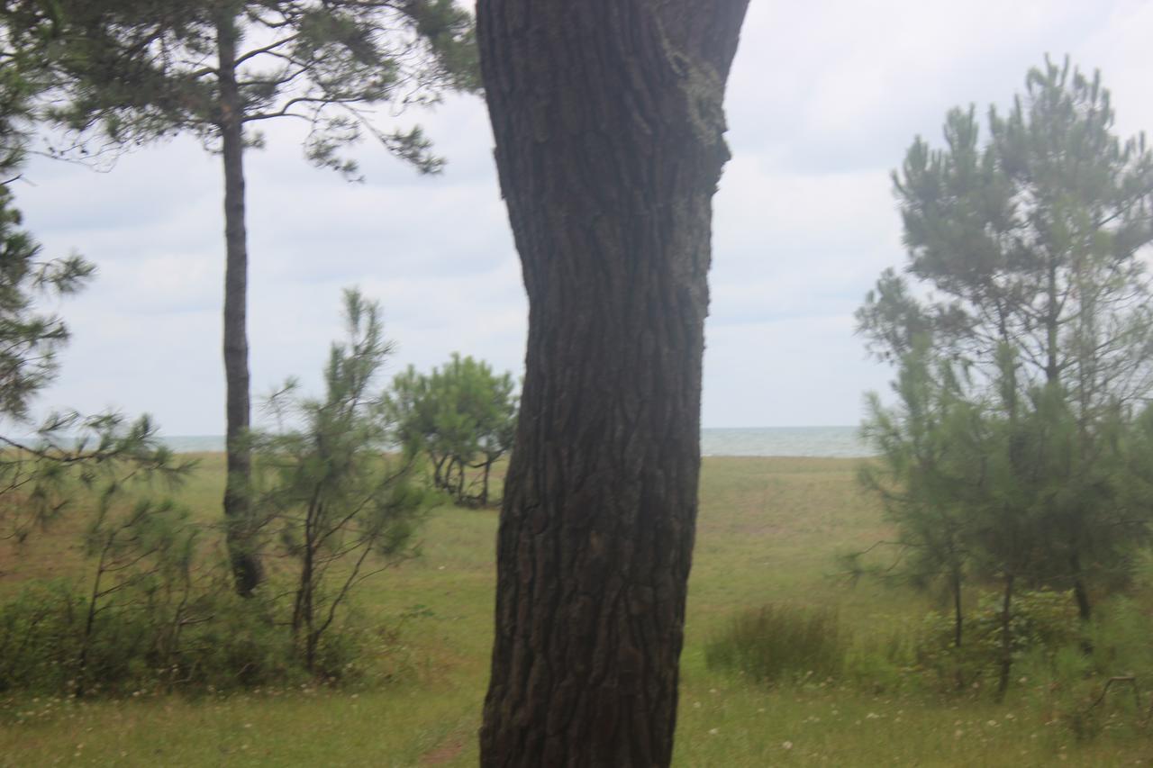 Giomari Hotel Ureki Buitenkant foto